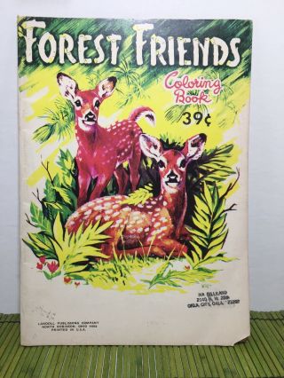 Vintage Coloring Book Forest Friends Landoll Publishing Painting Embroidery
