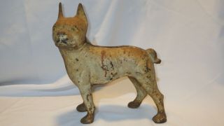 Antique Left Facing Cast Iron Boston Terrier Dog Doorstop 10.  25 " Tall - Hubley?