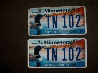 2013 Minnesota License Plate Pair Loon Tn102 Mn 13 Critical Habitat (s)