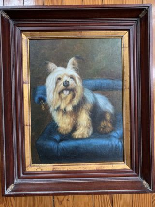 Vtg Antique Terrier Canvas Oil Painting Framed,  Silky / Yorkie Yorkshire - Dog