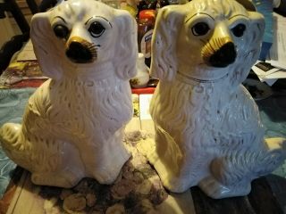 Antique Mantle Dogs Glass Eyed.  Almost 100 Years Old.  Perfect.  Staffy,  S.