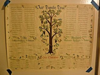Vintage 1975 Stevenson Our Family Tree 22 " X17 " Genealogy Doc.  Parchment In Tube