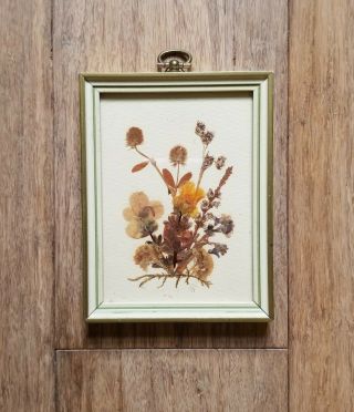 Vtg Small East Germany Framed Pressed Dried Flowers - Plants Foliage Art & Craft