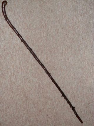 Antique Irish Blackthorn Walking Stick With Root Ball Coppice Handle - 95.  5cm