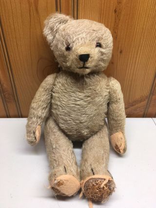Rare Early Steiff Antique 15 " Mohair Jointed Teddy Bear Hump Back W/ Growler