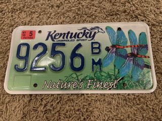 Kentucky License Plate Dragonfly Natures Finest 9256bm
