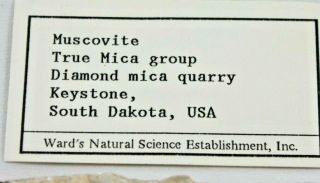Vintage Ward ' s Natural Science Mineral Specimen Muscovite Diamond Mica Quarry SD 2