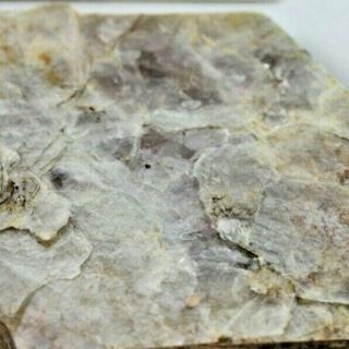 Vintage Ward ' s Natural Science Mineral Specimen Muscovite Diamond Mica Quarry SD 3