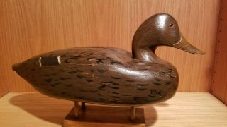 Old Michigan Glass Eyed Hen Mallard Wooden Duck Decoy Great Paint