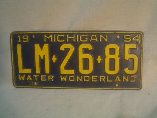 Vintage 1954 Michigan License Plate - Water Wonderland