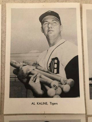 1966 Detroit Tigers Picture Pack 12 B&w Photos Jay Publishing W/envelope Kaline