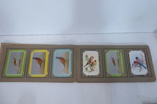 Vintage Album Book Playing Cards Pictures Birds Risque Nude Lady Dogs Ships Art