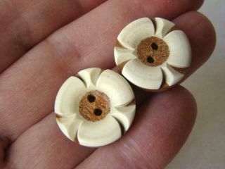 2 Vintage 3/4 " Bakelite Topped Cork Wood Sewing 1940s Flower Head Buttons
