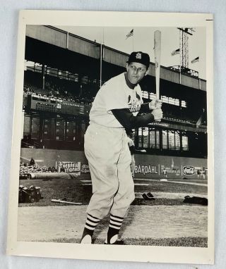 Vintage Stan Musial,  St.  Louis Cardinals Team Issue 8 X 10 Photo