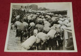 Vintage Press Photo Wwii German Pows Carry Personal Effects Bundles On Dock