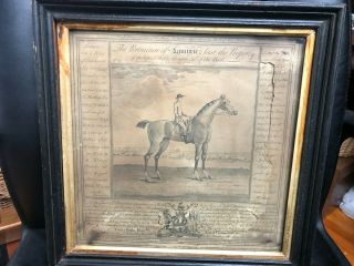 Rare Antique 18th Century English Horse Print Of " Lamprie " 1753