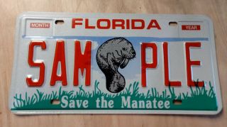 Florida,  Sample,  Car,  Tags,  License Plates,  Save The Manatee