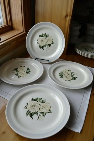 Set Of 4 Vtg Homer Laughlin Nautilus Dinner Plates Gray Band White Magnolia