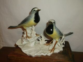 Vintage Fine Porcelain Birds,  Karl Ens Volkstedt,  East Germany,