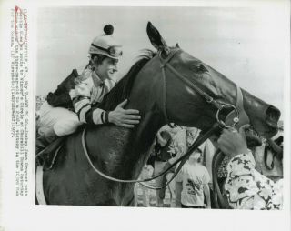 1977 Press Photo Jockey Jean Gruguet Pats Neck Of Race Horse Seattle Slew
