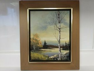 Vintage Listed Canadian Artist Richard Karon Landscape Oil Painting.
