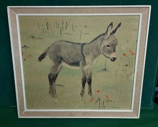 Vintage Framed Retro Print By M Wilson Of A Young Donkey