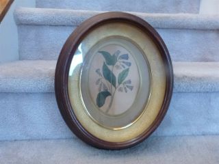Antique Deep Victorian Walnut Oval Shadow Box Diorama Picture Frame 14 3/8 " Tall