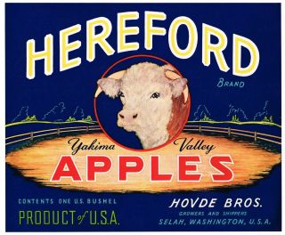 Apple Crate Label Vintage Livestock Bull Selah 1940 Hereford Cow Steer