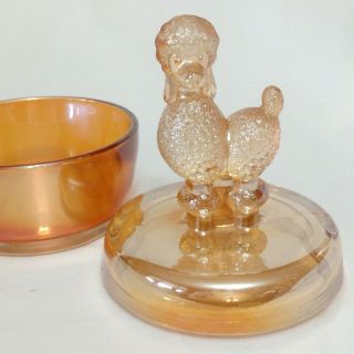 Vintage 1940 ' s JEANNETTE Marigold Carnival Glass Poodle Powder Jar/Trinket Box 3