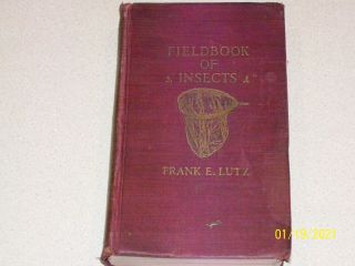 Vintage Field Book Of Insects By Frank E.  Lutz G.  P.  Putnam 1921