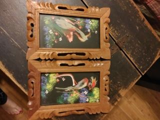 Vintage Mexican Bird Feather Art Pictures In Hand Carved Wood Frames