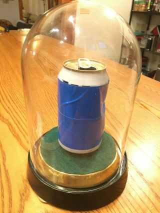 Antique Glass Dome Bell Jar/cloche Specimen Display W/metal Base 9.  5 " T X 5.  5 " W