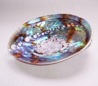 Vintage Natural Paua Abalone Seashell Soap Dish/display Lovely Iridescence