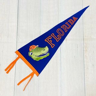 Vintage 24 " Felt Pennant University Of Florida Gators Velvet Flocked Logo