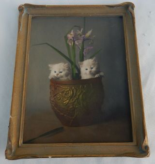 Vintage Color Tinted Photo Of 2 Kittens In A Flower Pot Pie Crust Frame