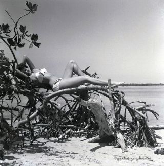 Bunny Yeager 1950s Camera Negative Pin Up Bathing Beauty At Crandon Park Beach