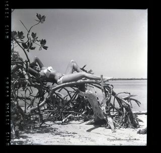 Bunny Yeager 1950s Camera Negative Pin Up Bathing Beauty At Crandon Park Beach 2