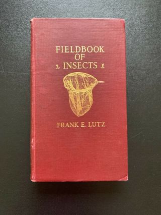 Vintage Fieldbook Of Insects By Frank E.  Lutz G.  P.  Putnam 1918