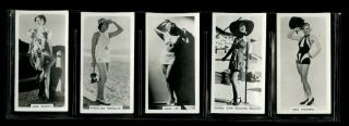 Vintage Pinup Cigarette Cards 1930s - 1940s Sexy Actresses Jane Wyatt