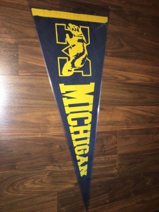 Vintage Michigan State Wolverines College Pennant