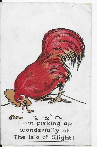 Rare Vintage Postcard,  Hen " I Am Picking Up Wonerfully At The Isle Of Wight " 1911