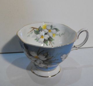 Vintage Royal Albert White Dogwood Blue Flora Footed Tea Cup & Saucer Gold Trim 2