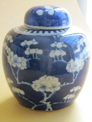 Chinese Blue White Porcelain Prunus Jar Double Ring Mark 19th/20th Century Vase