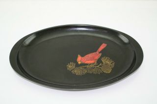 Vintage Couroc Red Cardinal Oval Serving Tray Platter 15 " X 10 "