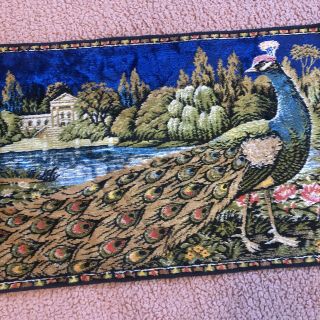 Vintage Italian Wall Hanging Boho Tapestry Peacock Flowers 38x19 R.  T.  Co Italy