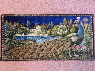 Vintage Italian Wall Hanging Boho Tapestry PEACOCK Flowers 38x19 R.  T.  Co Italy 2