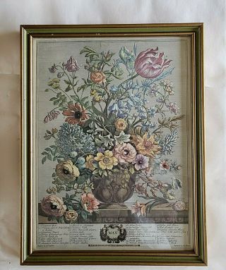 May 1730 Robert Furber Vintage Flower Display,  Art Print,  Beautifully Framed