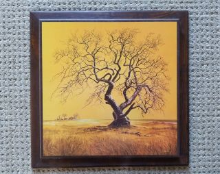 Vintage " Tree Of Life " By Margaret Gare Barks 19x19 Litho On Wood Boho Wall Art