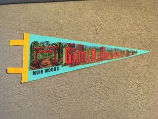 Vintage Pennant Giant Redwoods Muir Woods National Monument 1967 17 "