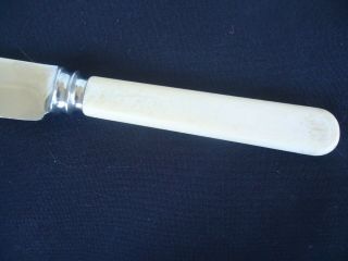 vintage faux bone handle dinner knife grosvenor firth brearley 3